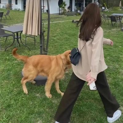 我是你的父亲海报